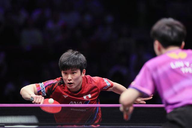 关于波兰队力克瑞典队，张本智和状态火热的信息