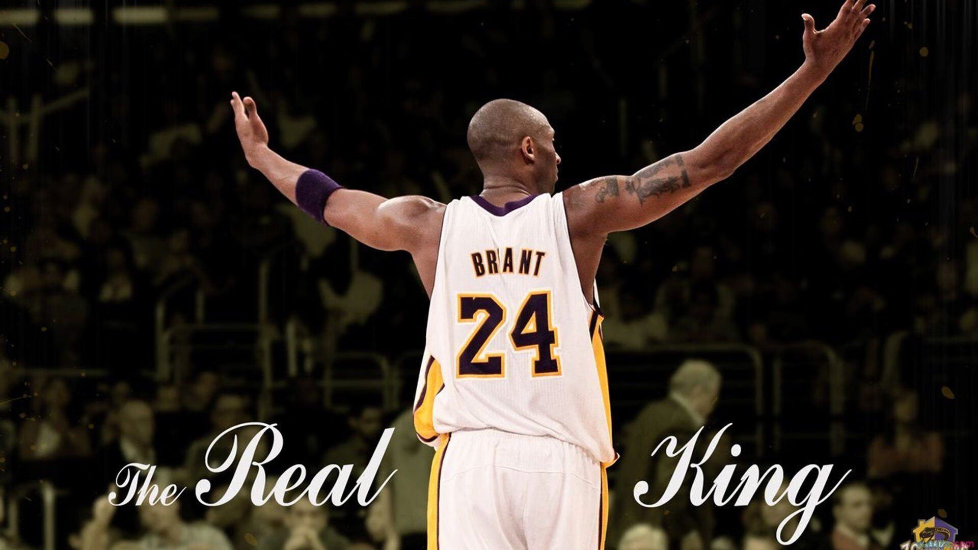 当骑士封锁北京队，布克在F1赛道接管年度争冠—跨界叙事中的唯一性对决