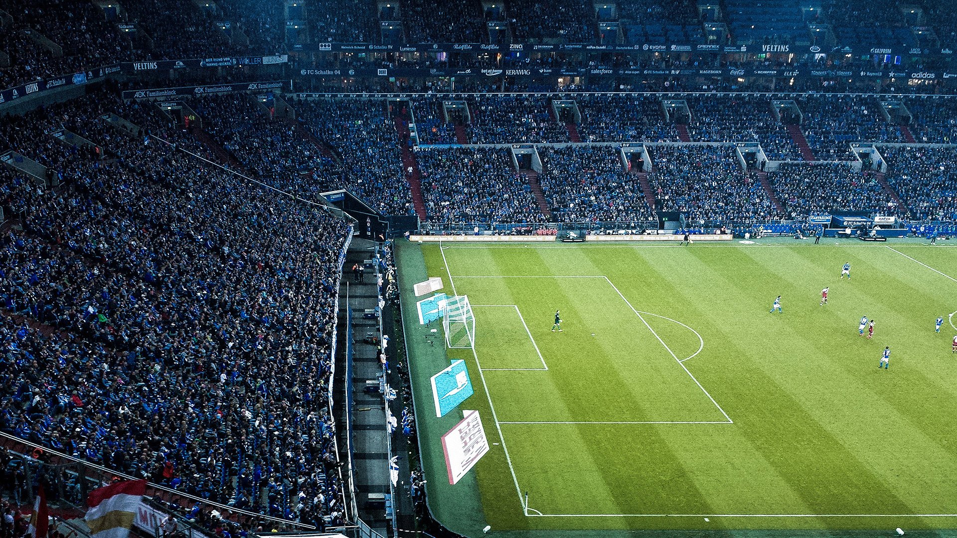 绿茵场上的铁血意志，羽球场上的轻盈舞步—体育精神的多元交响